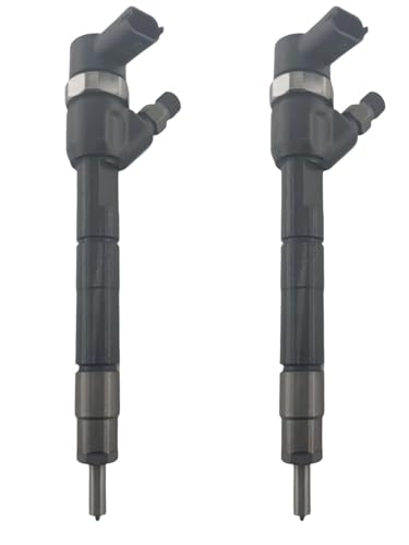 2 Stück OE 0445110296 Common Rail Kraftstoffeinspritzdüse - Kompatibel mit Dieselmotoren, hochpräzise Kraftstoffeinspritzteile for Kraftfahrzeuge von mhddhd