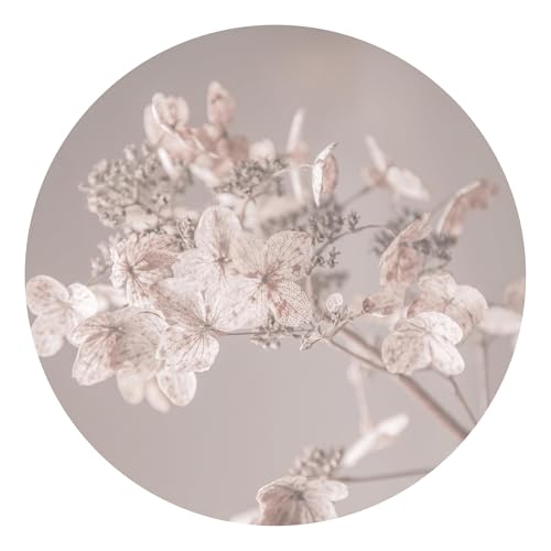 Runde Fototapete selbstklebend - 3D Blumen Vliestapete Made in Germany UV-beständig Geruchsfrei - Motivtapete Landhaus beige Wohnzimmer Schlafzimmer 2733-SK (175x175cm) von micasia