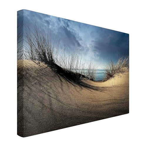 micasia Akustikbild Strand Meer Natur Schallschutzbild 4cm Keilrahmen & Schallabsorber - Düne Modern beige Wohnzimmer Schlafzimmer Bild für bessere Raumakustik 2065 (120x80cm) von micasia