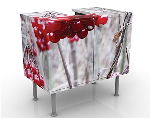 micasia Waschbeckenunterschrank 2 Türen Küche höhenverstellbar mit Füßen - 60er Breite - Obst Modern Unterschrank dekorativ Bad Gäste WC Möbel mit Motiv 1419 von micasia