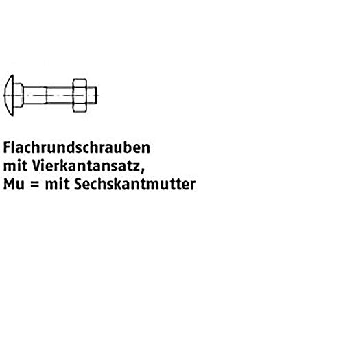 Flachrundschrauben DIN 603 Mu St. M 10 x 220 VE=S 25 Stück von michl