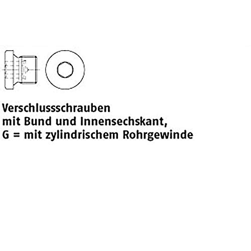 Verschlußschrauben DIN 908 A 4 G 1/4 A A 4 VE=S 1 Stück von michl