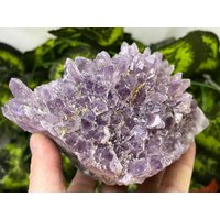 Amethyst Chala Bulgarien Natürliche Kristallmineralien Muster Cluster Souvenirs von migiminerals