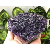 Amethyst Chalkopyrit Drujba Mine Mangelnde Bulgarien Natürliche Kristallmineralien Mustercluster Souvenirs von migiminerals