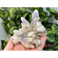 Amethyst Phantom Lacky Bulgarien Natürliche Kristall Mineralien Probe Cluster Souvenirs von migiminerals