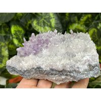 Amethyst-Phantom Mangelhafte Bulgarien Natürliche Kristallmineralien Musterclusterandenken von migiminerals