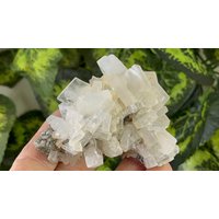 Baryt Erma Reka Bulgarien Natürliche Kristall Mineralien Probe Cluster Souvenirs Wholesalemineralsbox von migiminerals