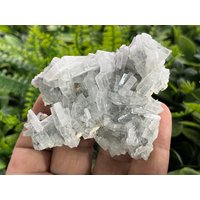 Baryt Erma Reka Bulgarien Natürliche Kristallmineralien Mustercluster Souvenirs Wholesalemineralsbox Baryt Erma Reka Bulgarien Natürliche Kristallmineralien Mustercluster Souvenirs Wholesalemineralsbox von migiminerals