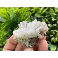 Baryt Markasit Androw Mine Erma Reka Bulgarien Natürliche Kristallmineralien Mustercluster Souvenirs Wholesalemineralsbox von migiminerals