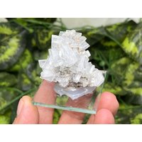 Baryt Markasit Erma Reka Bulgarien Natürliche Kristall Mineralien Probe Cluster Souvenirs Wholesalemineralsbox von migiminerals