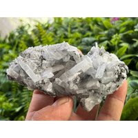 Baryt Markasit Erma Reka Bulgarien Natürlichen Kristallmineralien Muster Clusters Souvenirs Wholesalemineralsbox von migiminerals