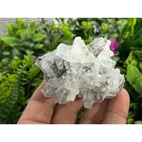 Baryt Pyrit Erma Reka Bulgarien Natürliche Kristall Mineralien Probe Cluster Souvenirs Wholesalemineralsbox von migiminerals