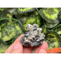Beeindruckender Pyrit Von Chalkopyrit Und Sphalerit Aus Der Deveti Septemvri Mine Madan Bulgarien von migiminerals
