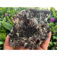 Bezaubernde Sphalerit-E-Quarz - Borieva Mine= Madan Bulgarien von migiminerals