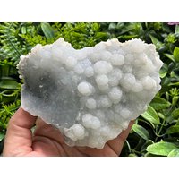 Blauer Chalcedon-Quarz Madan Bulgarien Natürliche Kristallmineralien Probe-Cluster-Souvenirs von migiminerals