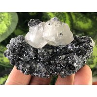 Calcit Bleiglanz-Sphalerit-Quarz-Borieva Mine-Madan Bulgarien Calcit Bleiglanz-Sphalerit-Quarz-Borieva Mine-Madan Bulgarien von migiminerals