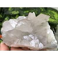 Calcit Fluoreszierend Enthalten Chlorit Madan Bulgarien Natürliche Kristall Mineralien Probe Cluster Souvenirs von migiminerals