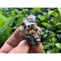 Calcit Galenit Sphalerit Deveti Septemvri Mine Madan Bulgarien Calcit Galenit Sphalerit Deveti Septemvri Mine Madan Bulgarien von migiminerals