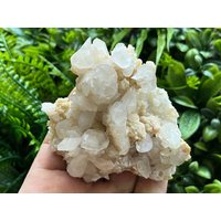 Calcit Manganocalcit Quartz Madan Bulgarien Natürliche Kristallmineralien Probe Cluster Souvenirs Wholesalemineralsbox von migiminerals