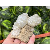 Calcit Phantom Lacky Bulgarien Natürliche Kristall Mineralien Probe Cluster Souvenirs Wholesalemineralsbox von migiminerals