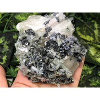 Calcit Quarz Pyrit Sphalerit Deveti Septemvri Mine Madan, Bulgarien Calcit Quarz Pyrit Sphalerit Deveti Septemvri Mine Madan, Bulgarien von migiminerals