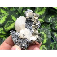 Calcit Sphalerit Pyrit Gyudyurska Mine Erma Reka Bulgarien Geschenke, Mineralprobe, Tischdekoration, Schreibtischdekoration, Heilkristalle, Traube Calcit Sphalerit Pyrit Gyudyurska Mine Erma Reka Bulgarien Geschenke, Mineralprobe, Tischdekoration, Schreibtischdekoration, Heilkristalle, Traube von migiminerals