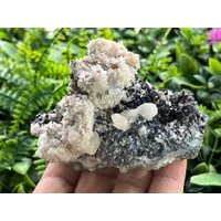 Calcit Sphalerit Quarz Chalkopyrit Madan Bulgarien Natürlichen Kristall Mineralien Probe Clusters Souvenirs Wholesalemineralsbox Wohnkultur von migiminerals