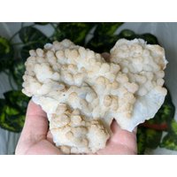 Chalcedon Quarz Madan Bulgarien Natürliche Kristall Mineralien Probe Cluster Souvenirs Wholesalemineralsbox von migiminerals