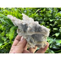 Chalcedon Quarz Madan Bulgarien Natürliche Kristallmineralien Muster Cluster Souvenirs von migiminerals