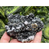 Chalcopyrit Sphalerit-Quarz Pyrit Calcit Borieba Mine-Madan Bulgarien Natürliche Kristall Mineralien Probe von migiminerals