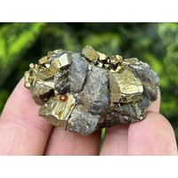 Chalkopyrit Pyrit Madan Bulgarien Natürliche Kristallmineralien Mustercluster Souvenirs von migiminerals