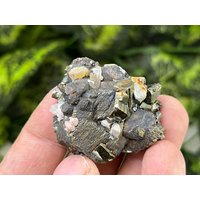 Chalkopyrit Pyrit Madan Bulgarien Natürliche Kristallmineralien Mustercluster Souvenirs von migiminerals