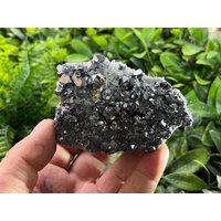 Chalkopyrit Quarz Sphalerit Galena Bulgarien Natürliche Kristallmineralien Mustercluster Souvenirs von migiminerals