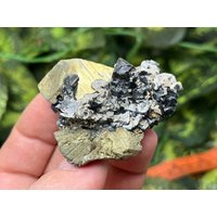 Chalkopyrit Sphalerit Borieva Mine Madan Bulgarien Natürliche Kristallmineralien Mustercluster Souvenirs Wholesalemineralsbox von migiminerals