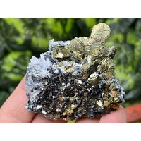 Chalkopyrit Sphalerit Quarz Madan Bulgarien Natürliche Kristallmineralien Mustercluster Souvenirs von migiminerals