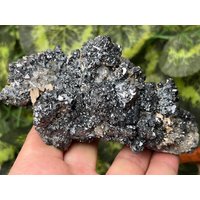 Erstaunlich Galena Sphalerit Quarz Calcit Deveti Septemvri Mine Madan Bulgarien von migiminerals