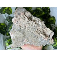 Erstaunlich Rhodochrosit Quarz Sphalerit Chalkopyrit Pyrit Deveti Septemvri Mine-Madan Bulgarien von migiminerals