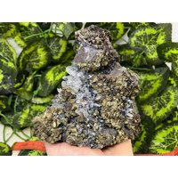 Erstaunliche Chalkopyrit-Galena-Quarz-Sphalerit-Borieva-Mine-Madan-Bulgarien-Mineralprobencluster von migiminerals