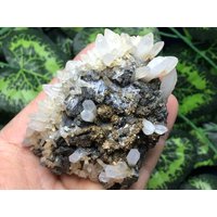 Erstaunliche Chalkopyrit-Quarz-Sphalerit-Borieva Mine-Madan Bulgarien Kristall-Mineralien Erstaunliche Chalkopyrit-Quarz-Sphalerit-Borieva Mine-Madan Bulgarien Kristall-Mineralien von migiminerals