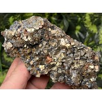 Erstaunliche Pyrit Sphalerit Borieva Mine Madan Bulgarien Natürliche Kristallmineralien Probe Erstaunliche Pyrit Sphalerit Borieva Mine Madan Bulgarien Natürliche Kristallmineralien Probe von migiminerals