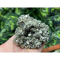 Erstaunliche Pyrit Sphalerite Madan Bulgarien Natürliche Kristallmineralien Mustercluster von migiminerals