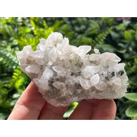 Erstaunliche Quarz-Calcit Sphalerit Deveti Septemvri Mine-Madan Bulgarien Erstaunliche Quarz-Calcit Sphalerit Deveti Septemvri Mine-Madan Bulgarien von migiminerals