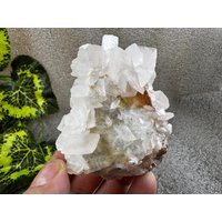 Erstaunlicher Calcit Erma Reka Bulgarien Natürliche Kristallmineralien Mustercluster Souvenirs Wholesalemineralsbox Erstaunlicher Calcit Erma Reka Bulgarien Natürliche Kristallmineralien Mustercluster Souvenirs Wholesalemineralsbox von migiminerals