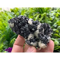 Erstaunlicher Calcit Sphalerit Deveti Septemvri Mine Madan Bulgarien Erstaunlicher Calcit Sphalerit Deveti Septemvri Mine Madan Bulgarien von migiminerals