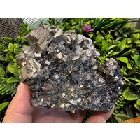 Erstaunlicher Pyrit Quarz Sphalerit Borieva Mine Madan Bulgarien Kristallmineralien von migiminerals