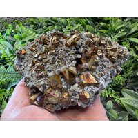 Erstaunlicher Pyrit Sphalerit Quarz Deveti Septemvri Mine Madan Bulgarien Natürliche Kristallmineralien von migiminerals