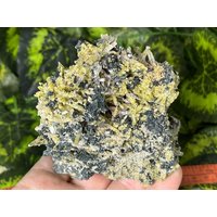 Erstaunlicher Quarz Epydote Chlorit Sphalerit Drujba Mine Mangelnde Bulgarien Natürliche Kristallmineralien Probe von migiminerals