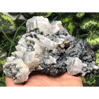 Erstaunlicher Quarz-Sphalerit-Calcit Chalkopyrit - Deveti Septemvri Mine-Madan Bulgarien Natürliche Kristallmineralien Erstaunlicher Quarz-Sphalerit-Calcit Chalkopyrit - Deveti Septemvri Mine-Madan Bulgarien Natürliche Kristallmineralien von migiminerals