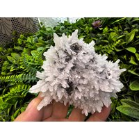 Erstaunlicher Quarz Sphalerit Pyrit Borieva Mine-Madan Bulgarien Natürliche Kristallmineralien von migiminerals