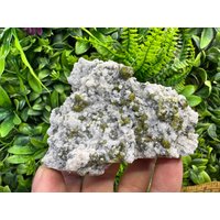 Erstaunlicher Sphalerit(Kleophan Quarz Deveti Septemvri Mine-Madan Bulgarien von migiminerals